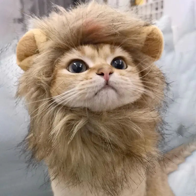 PRIMI PETS Lion Mane Pet Costume